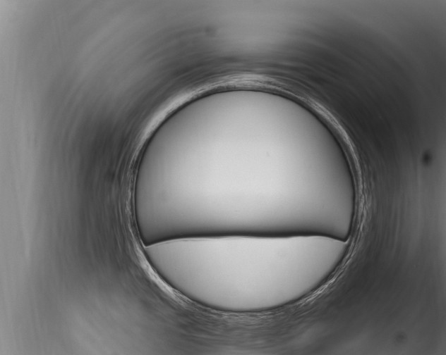 X0000116281437200911301030