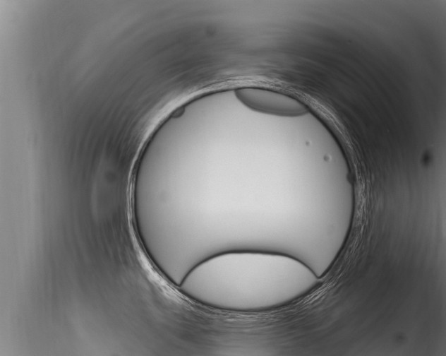 X0000116281439200911301030