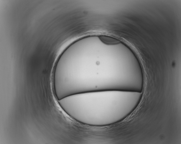 X0000116281440200911301030