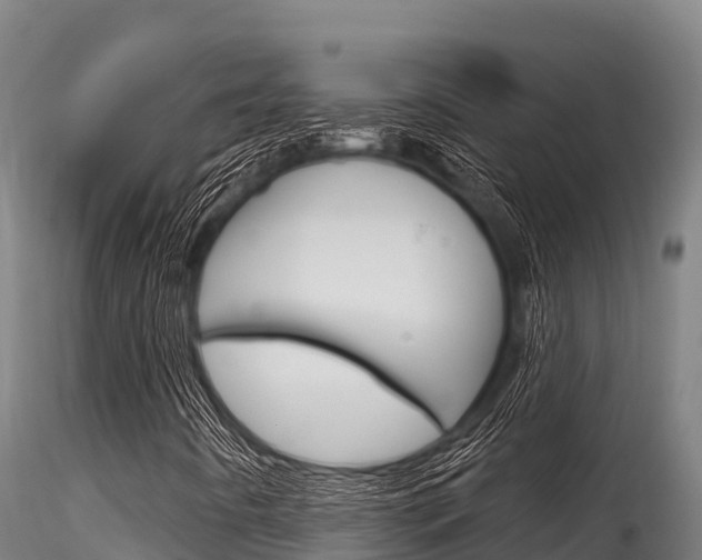 X0000116281442200911301029