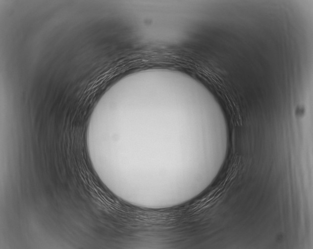 X0000116281443200911301029