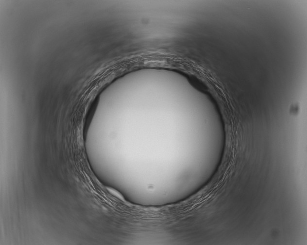 X0000116281445200911301029