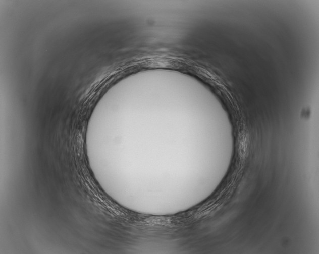 X0000116281446200911301029