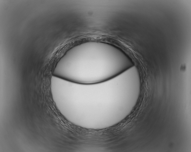 X0000116281447200911301029