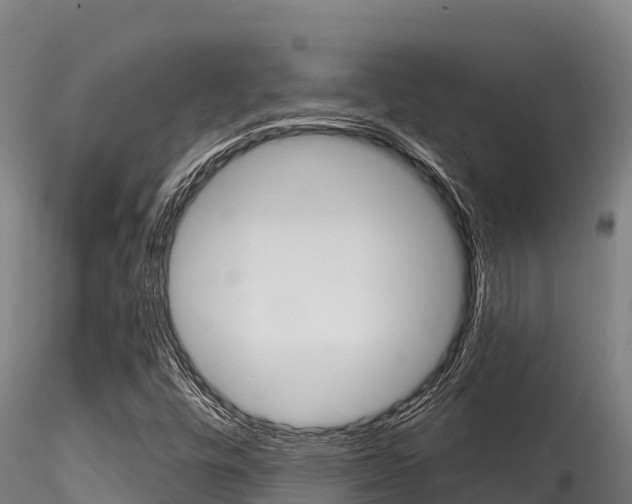 X0000116281448200911301029
