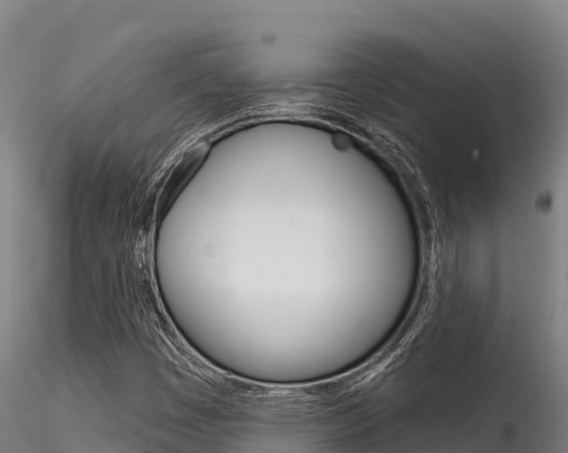 X0000116281449200911301029