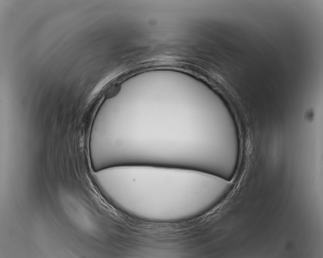 X0000116281450200911301029