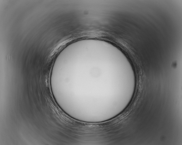 X0000116281451200911301029