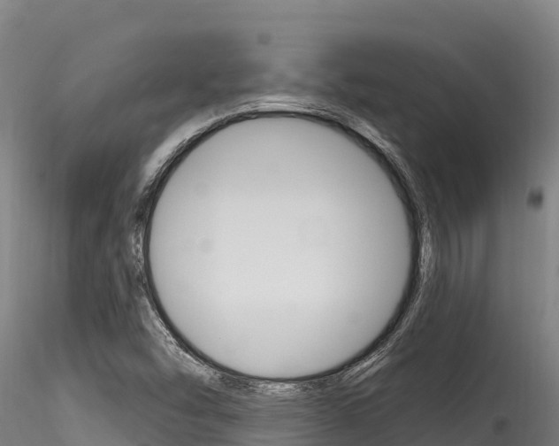 X0000116281454200911301029
