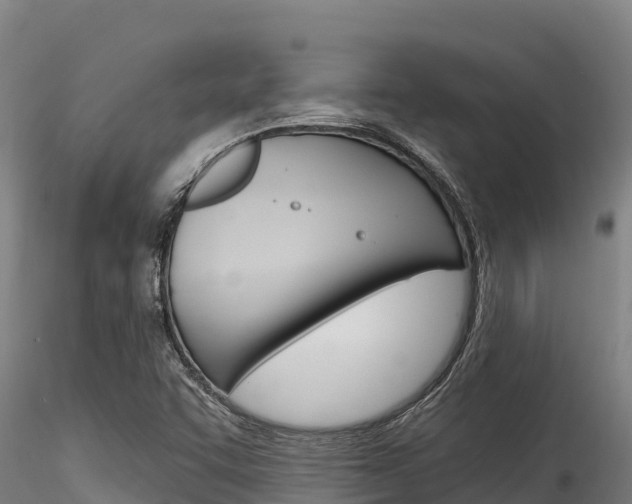 X0000116281455200911301029