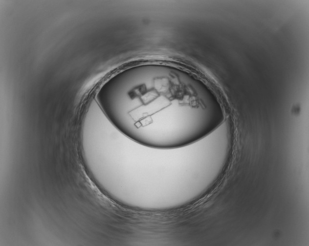 X0000116281456200911301029
