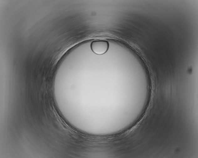 X0000116281457200911301029