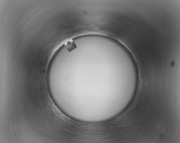 X0000116281460200911301029