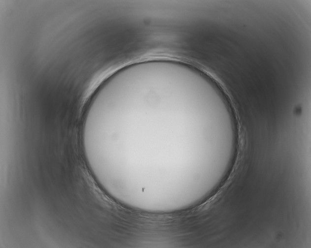 X0000116281461200911301029