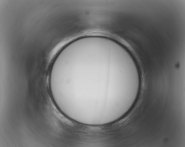 X0000116281462200911301029