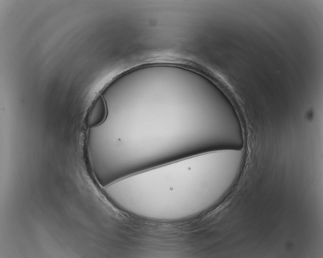 X0000116281463200911301029
