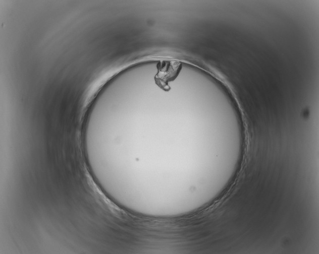 X0000116281464200911301029