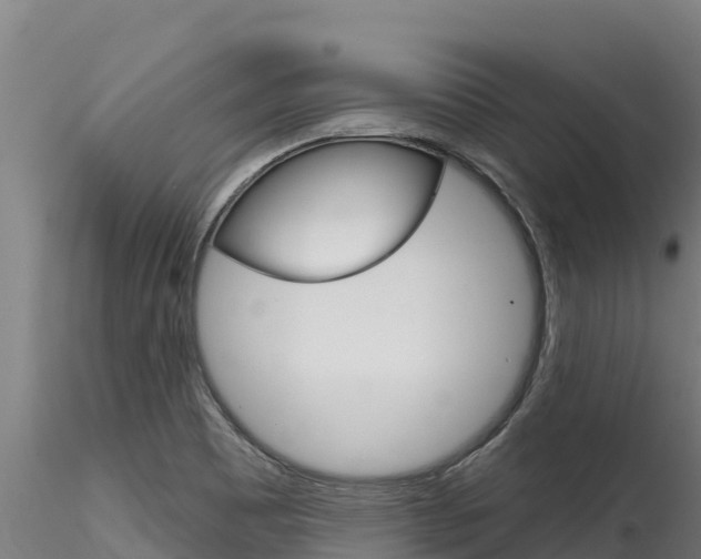 X0000116281465200911301029