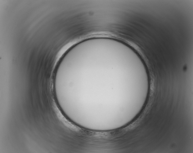 X0000116281466200911301029