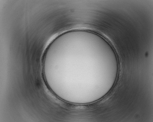 X0000116281467200911301029