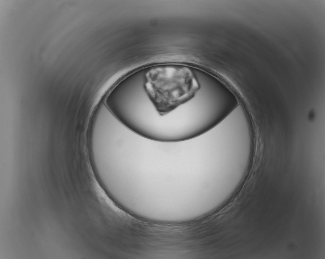 X0000116281468200911301029