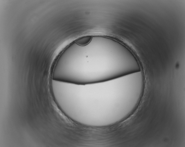 X0000116281469200911301029