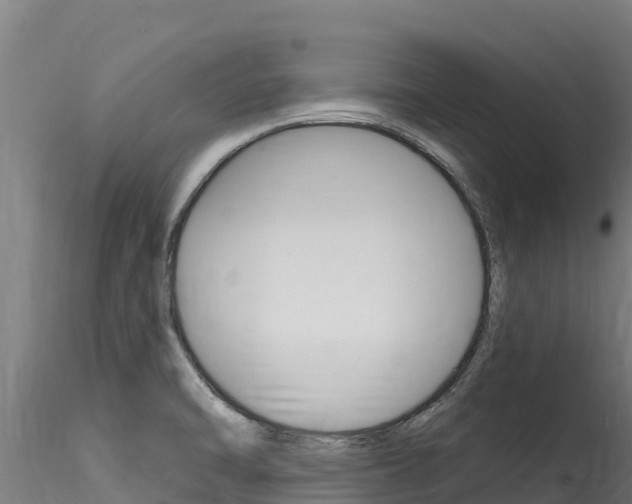 X0000116281470200911301029