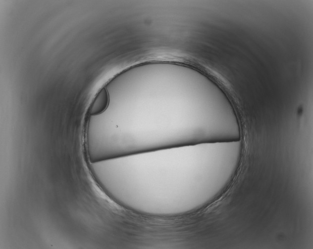 X0000116281471200911301029