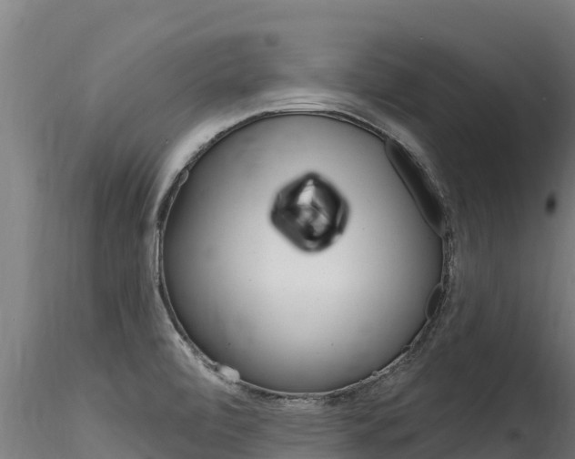 X0000116281472200911301029