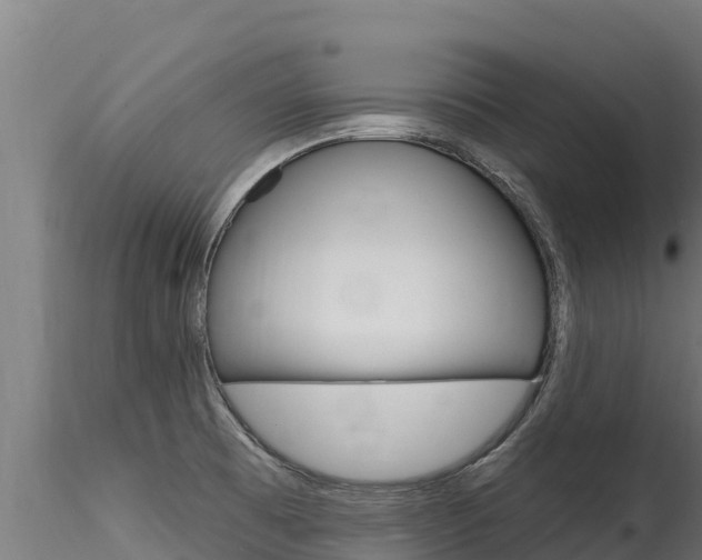 X0000116281473200911301029