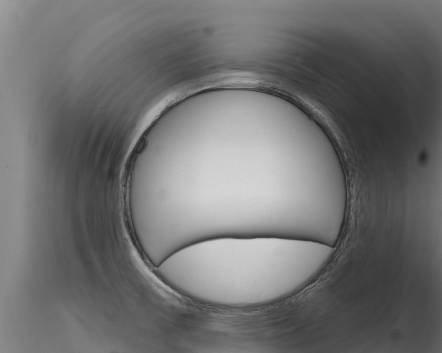 X0000116281475200911301029