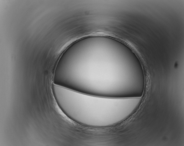X0000116281476200911301029