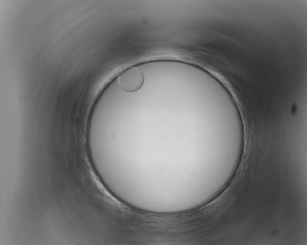 X0000116281477200911301028