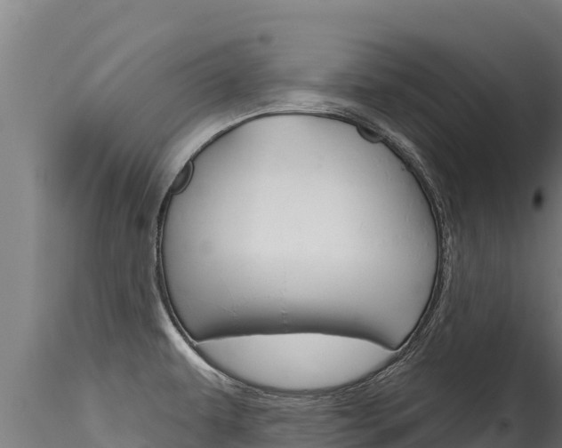 X0000116281479200911301028