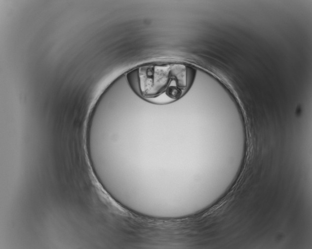 X0000116281480200911301028