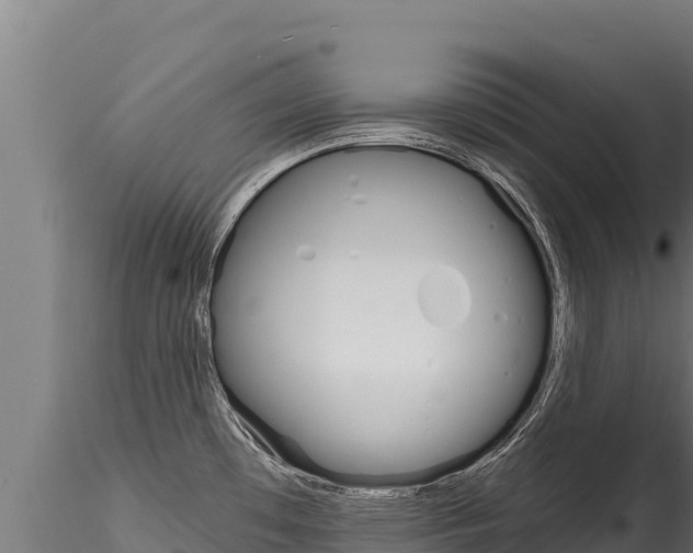 X0000116281481200911301028