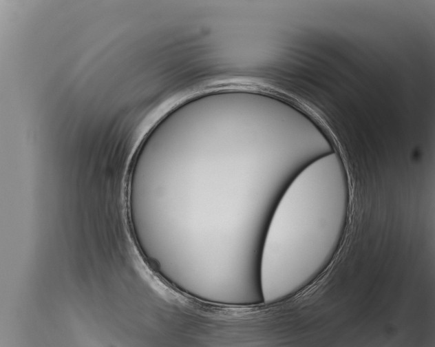 X0000116281482200911301028