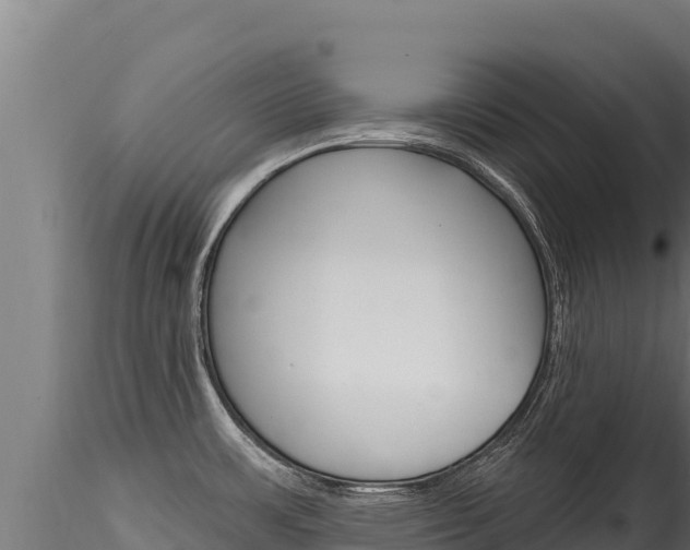 X0000116281483200911301028