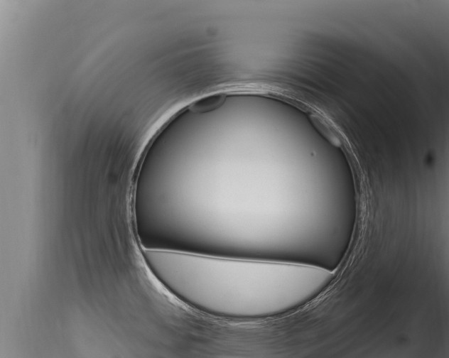 X0000116281484200911301028