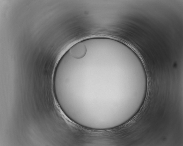 X0000116281485200911301028