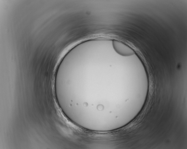 X0000116281486200911301028