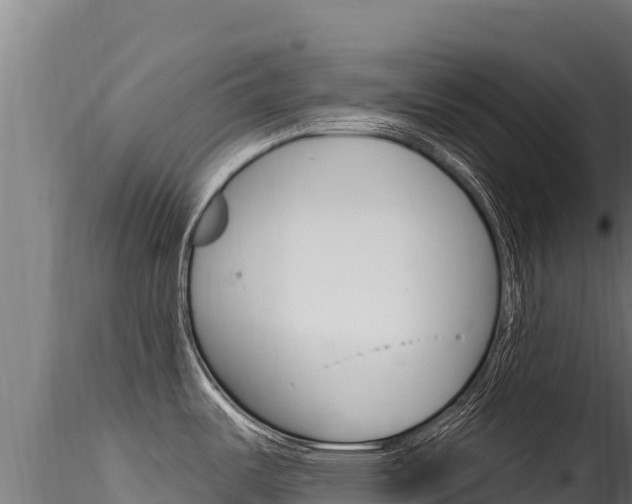 X0000116281487200911301028