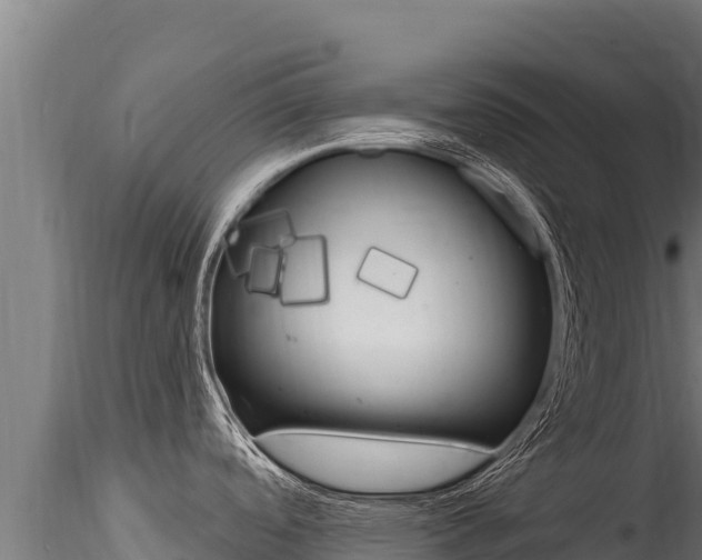 X0000116281488200911301028
