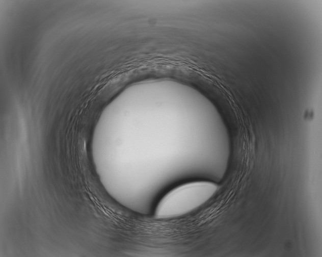 X0000116281489200911301028