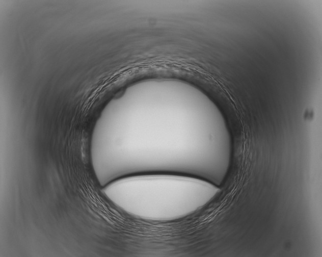 X0000116281490200911301028