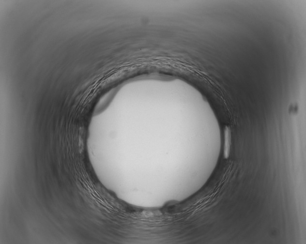 X0000116281491200911301028