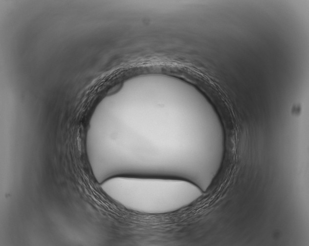 X0000116281493200911301028