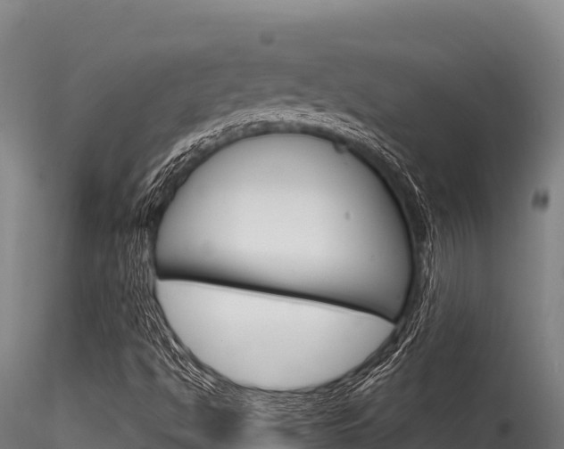 X0000116281494200911301028
