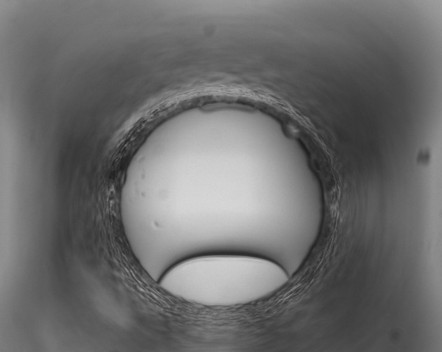 X0000116281495200911301028