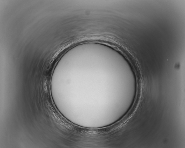 X0000116281497200911301028